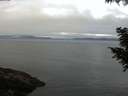 ./images/koeye/fitz-hugh/20200905/fitz-hugh20200905_085501.jpg