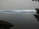 ./images/koeye/fitz-hugh/20200905/fitz-hugh20200905_091001.jpg