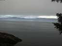 ./images/koeye/fitz-hugh/20200905/fitz-hugh20200905_091501.jpg