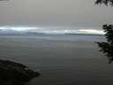 ./images/koeye/fitz-hugh/20200905/fitz-hugh20200905_092001.jpg