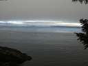 ./images/koeye/fitz-hugh/20200905/fitz-hugh20200905_092501.jpg