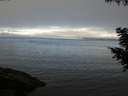 ./images/koeye/fitz-hugh/20200905/fitz-hugh20200905_094502.jpg
