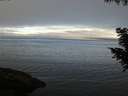 ./images/koeye/fitz-hugh/20200905/fitz-hugh20200905_095002.jpg