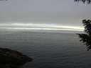 ./images/koeye/fitz-hugh/20200905/fitz-hugh20200905_101002.jpg
