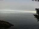 ./images/koeye/fitz-hugh/20200905/fitz-hugh20200905_101502.jpg