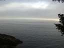 ./images/koeye/fitz-hugh/20200905/fitz-hugh20200905_102002.jpg