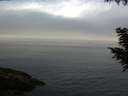 ./images/koeye/fitz-hugh/20200905/fitz-hugh20200905_102502.jpg