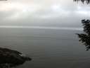 ./images/koeye/fitz-hugh/20200905/fitz-hugh20200905_103502.jpg