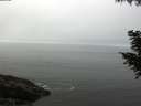 ./images/koeye/fitz-hugh/20200905/fitz-hugh20200905_104002.jpg