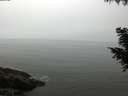 ./images/koeye/fitz-hugh/20200905/fitz-hugh20200905_104501.jpg