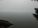 ./images/koeye/fitz-hugh/20200905/fitz-hugh20200905_105001.jpg