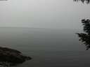 ./images/koeye/fitz-hugh/20200905/fitz-hugh20200905_105501.jpg