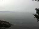 ./images/koeye/fitz-hugh/20200905/fitz-hugh20200905_110501.jpg