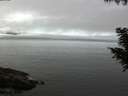 ./images/koeye/fitz-hugh/20200905/fitz-hugh20200905_111501.jpg