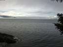 ./images/koeye/fitz-hugh/20200905/fitz-hugh20200905_114001.jpg