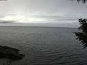 ./images/koeye/fitz-hugh/20200905/fitz-hugh20200905_114501.jpg