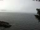 ./images/koeye/fitz-hugh/20200905/fitz-hugh20200905_115001.jpg