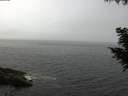 ./images/koeye/fitz-hugh/20200905/fitz-hugh20200905_115501.jpg
