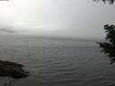 ./images/koeye/fitz-hugh/20200905/fitz-hugh20200905_120501.jpg