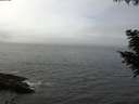 ./images/koeye/fitz-hugh/20200905/fitz-hugh20200905_121001.jpg