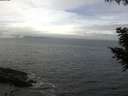 ./images/koeye/fitz-hugh/20200905/fitz-hugh20200905_121501.jpg