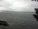 ./images/koeye/fitz-hugh/20200905/fitz-hugh20200905_124001.jpg