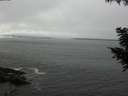 ./images/koeye/fitz-hugh/20200905/fitz-hugh20200905_124502.jpg