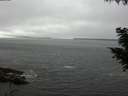 ./images/koeye/fitz-hugh/20200905/fitz-hugh20200905_125002.jpg