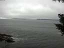 ./images/koeye/fitz-hugh/20200905/fitz-hugh20200905_125502.jpg