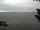 ./images/koeye/fitz-hugh/20200905/fitz-hugh20200905_130502.jpg