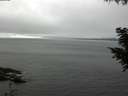./images/koeye/fitz-hugh/20200905/fitz-hugh20200905_131002.jpg