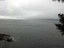 ./images/koeye/fitz-hugh/20200905/fitz-hugh20200905_131502.jpg