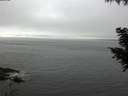 ./images/koeye/fitz-hugh/20200905/fitz-hugh20200905_132002.jpg