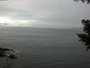 ./images/koeye/fitz-hugh/20200905/fitz-hugh20200905_132502.jpg