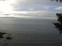 ./images/koeye/fitz-hugh/20200905/fitz-hugh20200905_133502.jpg