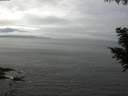 ./images/koeye/fitz-hugh/20200905/fitz-hugh20200905_134002.jpg