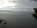 ./images/koeye/fitz-hugh/20200905/fitz-hugh20200905_134502.jpg