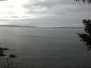 ./images/koeye/fitz-hugh/20200905/fitz-hugh20200905_135001.jpg
