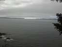 ./images/koeye/fitz-hugh/20200905/fitz-hugh20200905_135501.jpg