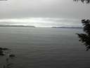 ./images/koeye/fitz-hugh/20200905/fitz-hugh20200905_140001.jpg