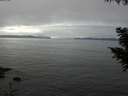 ./images/koeye/fitz-hugh/20200905/fitz-hugh20200905_140501.jpg