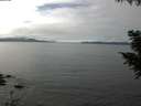 ./images/koeye/fitz-hugh/20200905/fitz-hugh20200905_141501.jpg