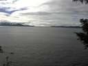 ./images/koeye/fitz-hugh/20200905/fitz-hugh20200905_150501.jpg