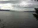 ./images/koeye/fitz-hugh/20200905/fitz-hugh20200905_152501.jpg