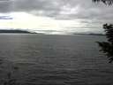 ./images/koeye/fitz-hugh/20200905/fitz-hugh20200905_154501.jpg