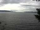./images/koeye/fitz-hugh/20200905/fitz-hugh20200905_155002.jpg