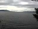 ./images/koeye/fitz-hugh/20200905/fitz-hugh20200905_155501.jpg