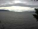./images/koeye/fitz-hugh/20200905/fitz-hugh20200905_160502.jpg