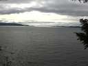 ./images/koeye/fitz-hugh/20200905/fitz-hugh20200905_161002.jpg
