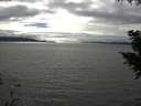 ./images/koeye/fitz-hugh/20200905/fitz-hugh20200905_161502.jpg